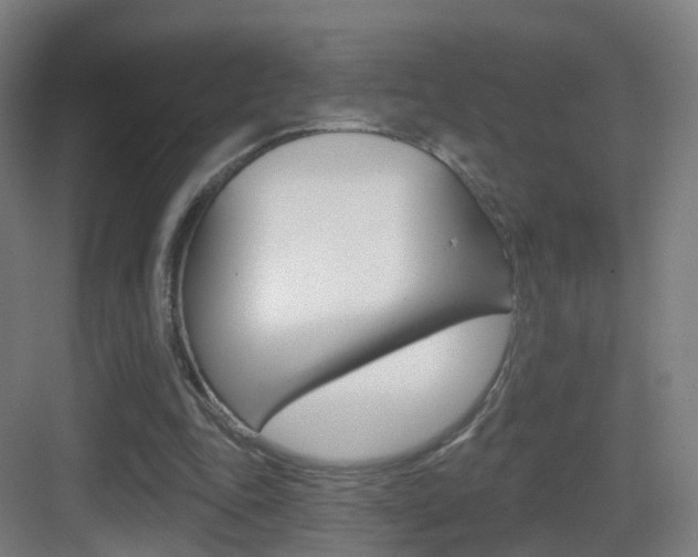 X0000083530343200702090726