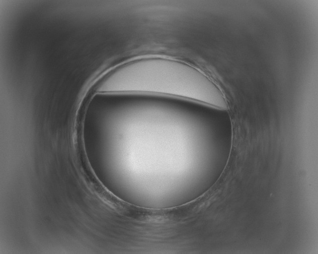 X0000083530344200702090726