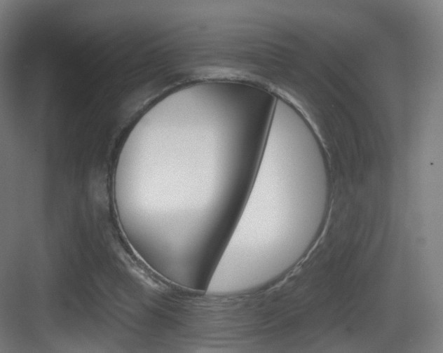 X0000083530345200702090726