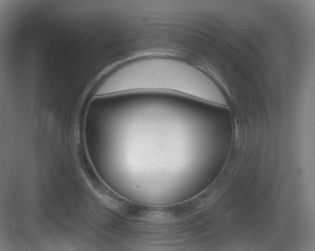 X0000083530348200702090726