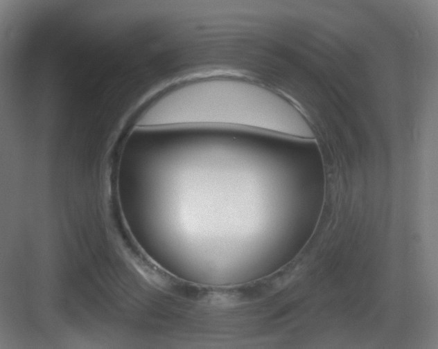 X0000083530350200702090726