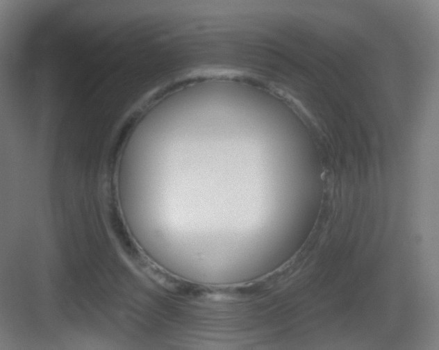 X0000083530352200702090726