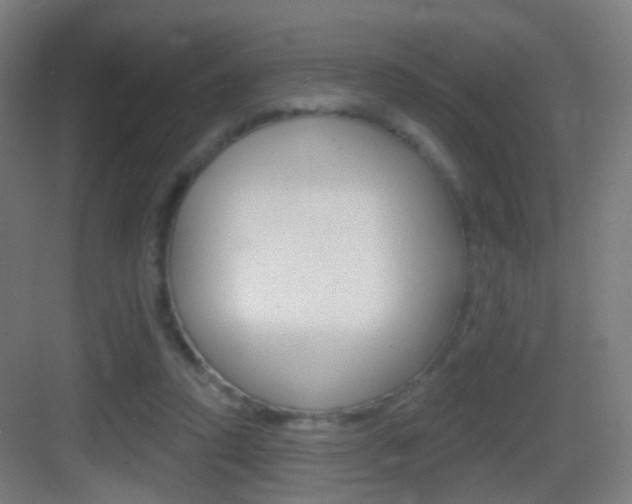 X0000083530354200702090726