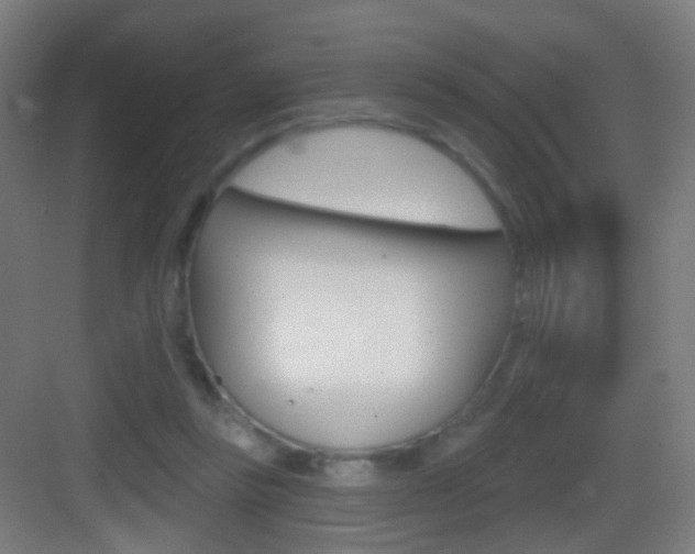 X0000083530355200702090726