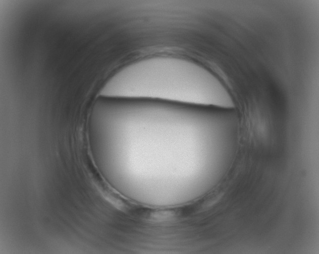 X0000083530357200702090726