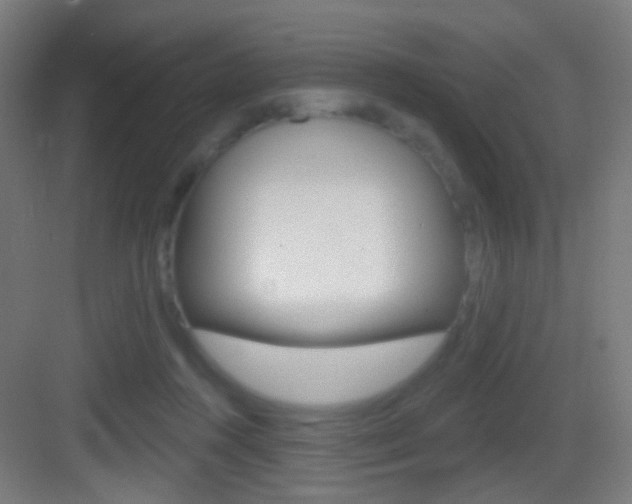 X0000083530360200702090726