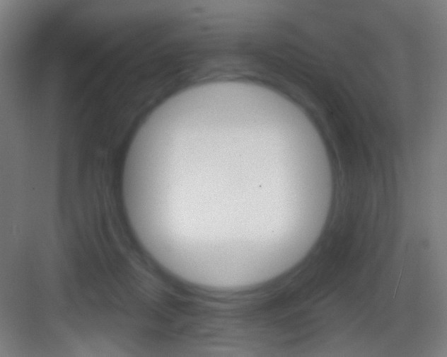X0000083530362200702090726