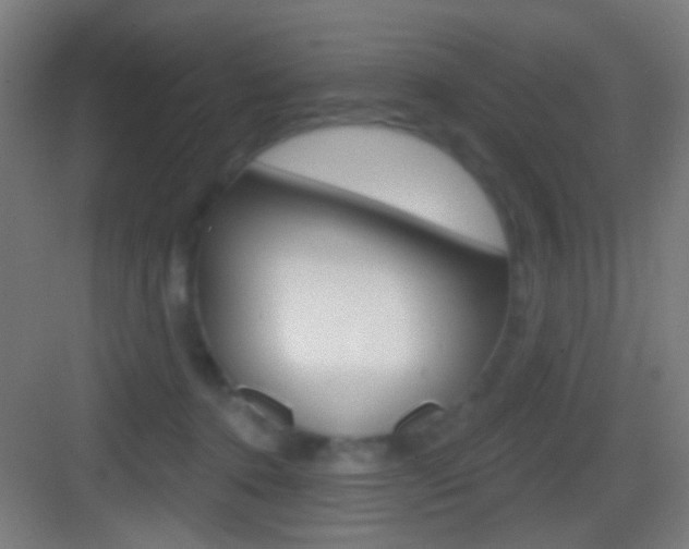 X0000083530368200702090726