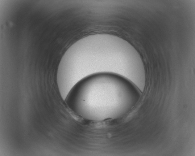 X0000083530384200702090726