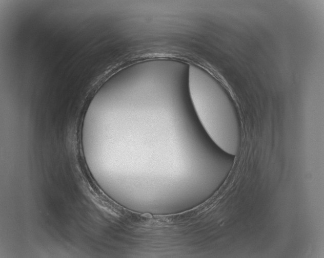 X0000083530386200702090725
