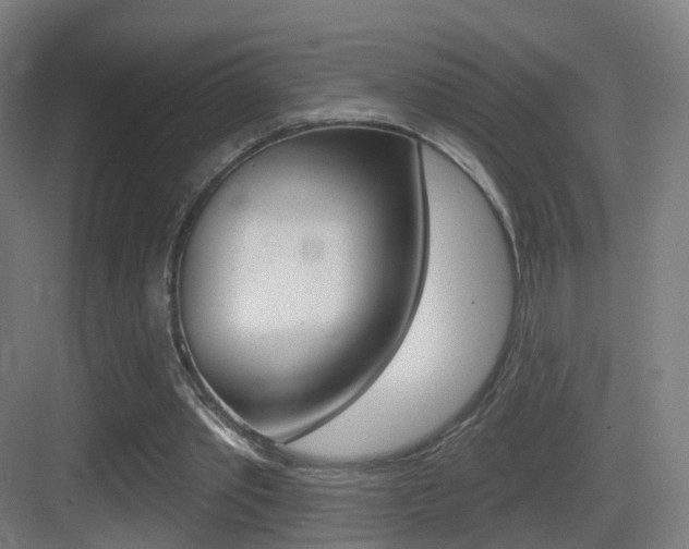 X0000083530389200702090725