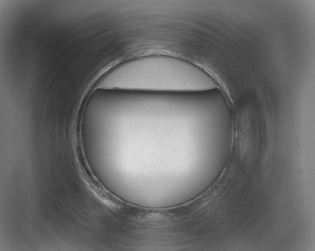 X0000083530390200702090725