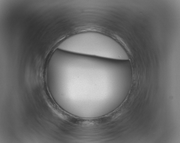 X0000083530394200702090725