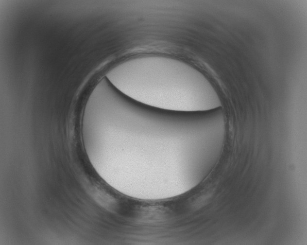 X0000083530396200702090725