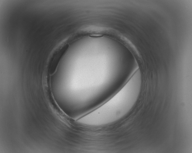 X0000083530399200702090725