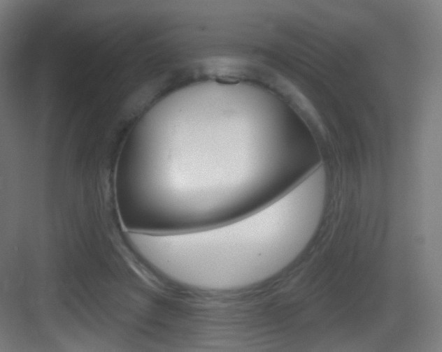 X0000083530401200702090725