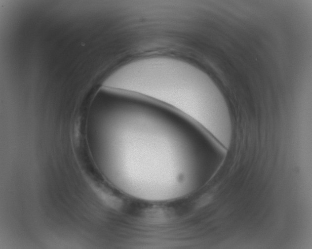 X0000083530404200702090725