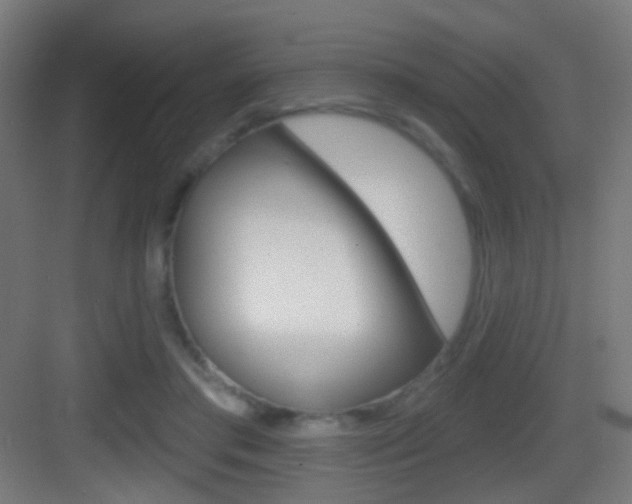X0000083530405200702090725