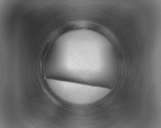 X0000083530406200702090725