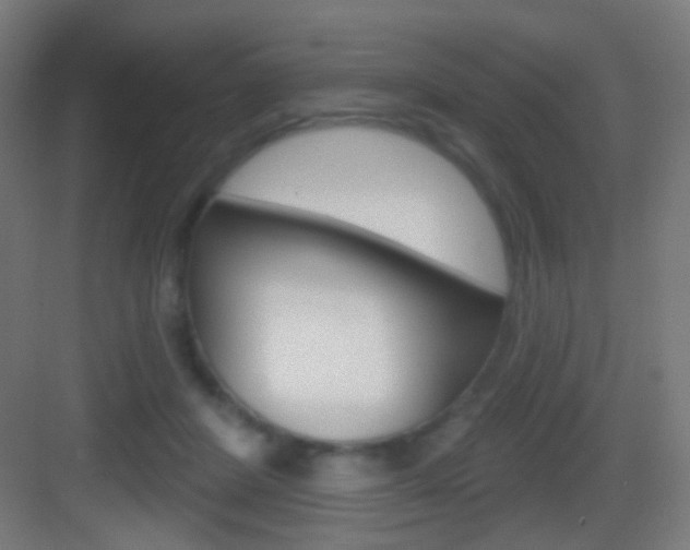 X0000083530408200702090725