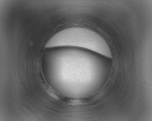 X0000083530409200702090725