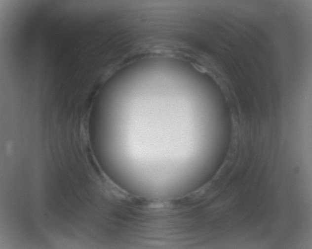 X0000083530415200702090725