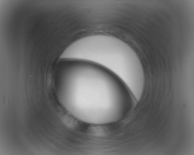 X0000083530417200702090725