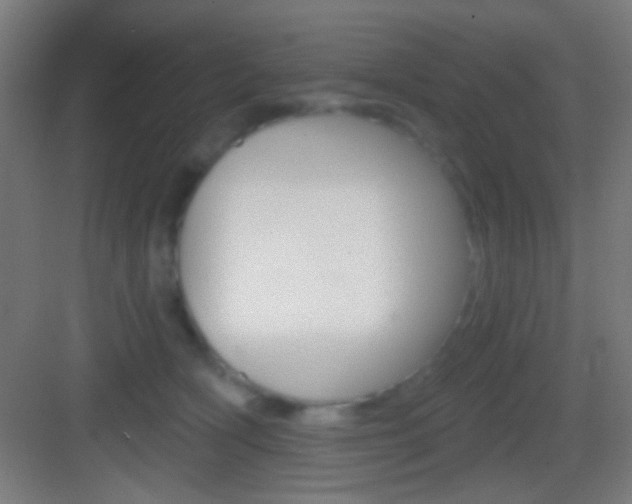 X0000083530418200702090725