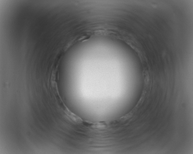 X0000083530419200702090725