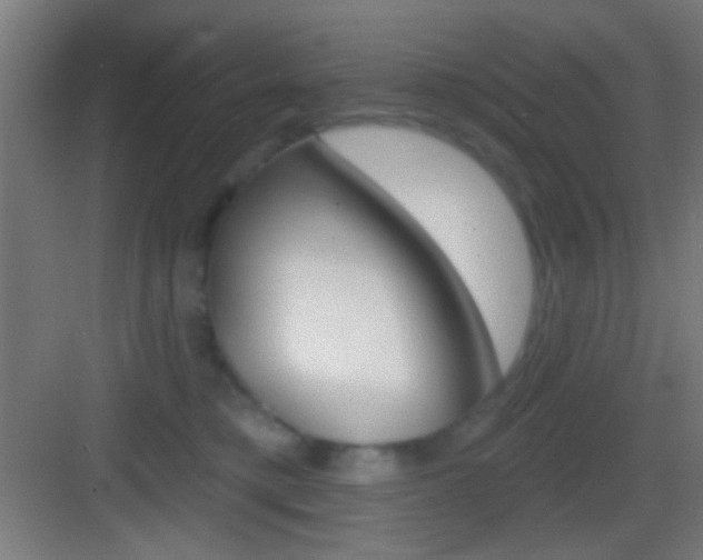 X0000083530421200702090725