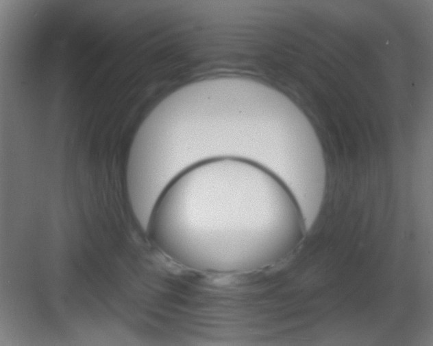 X0000083530423200702090725