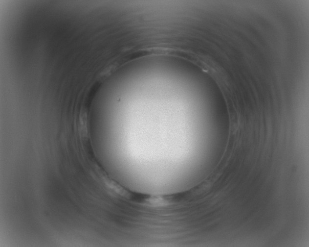 X0000083530425200702090725