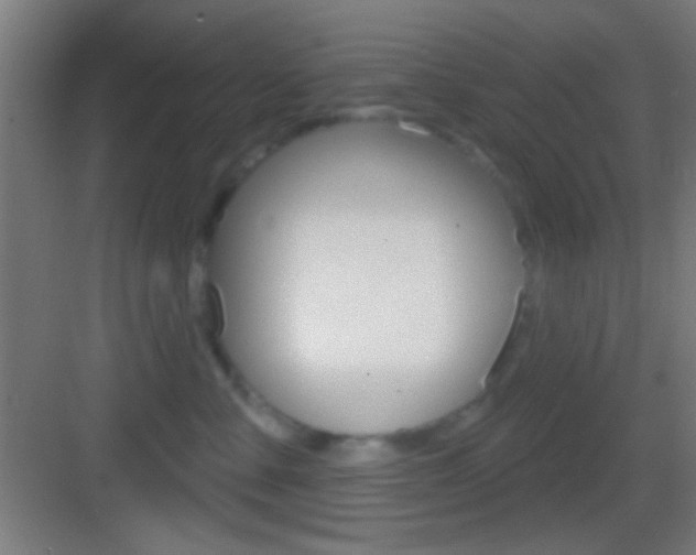 X0000083530427200702090725