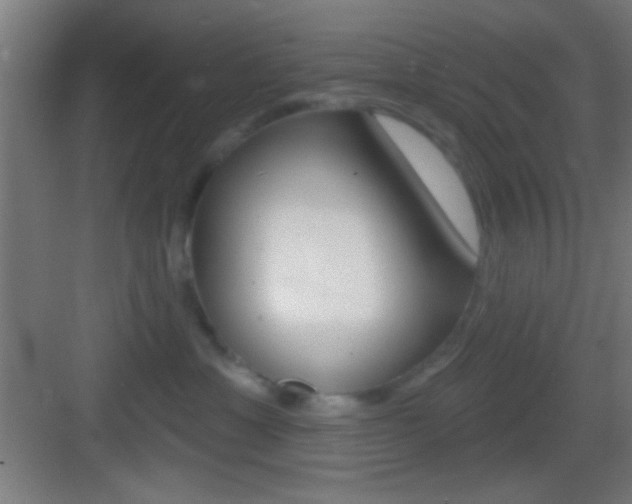 X0000083530429200702090725