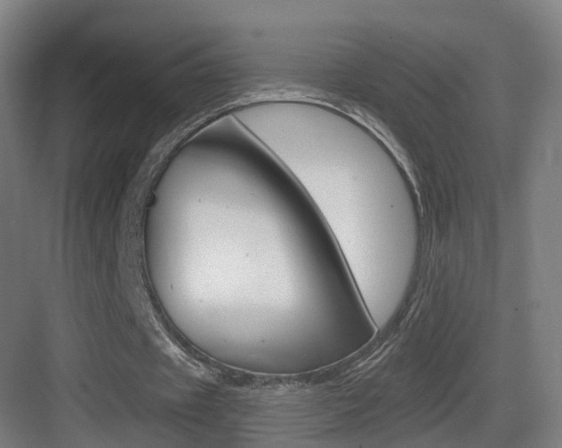 X0000083530433200702090724