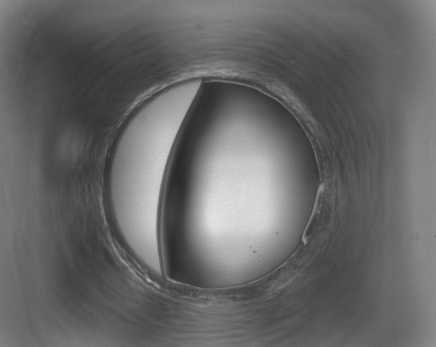 X0000083530434200702090724