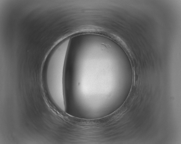 X0000083530435200702090724