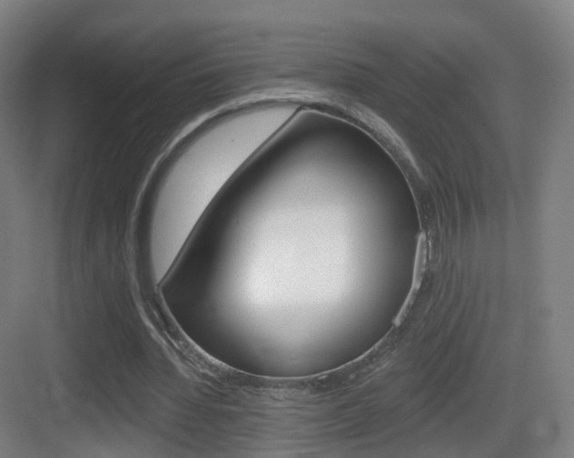 X0000083530436200702090724