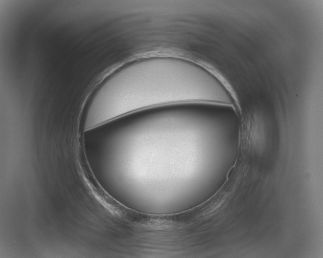 X0000083530437200702090724