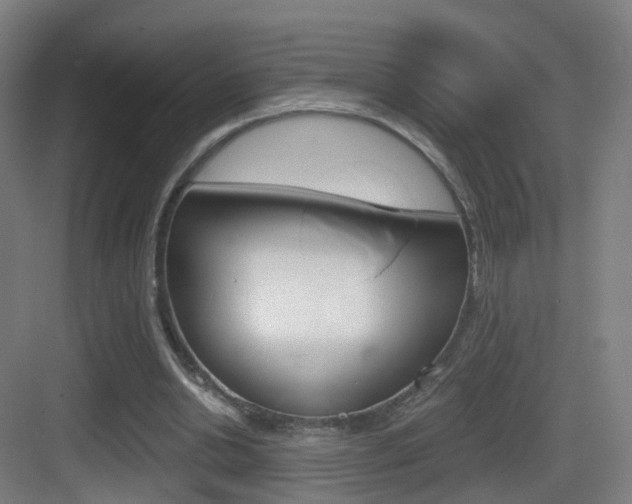 X0000083530438200702090724