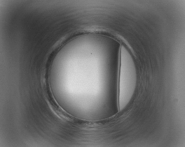 X0000083530443200702090724