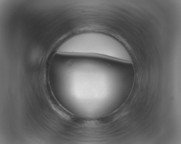 X0000083530446200702090724