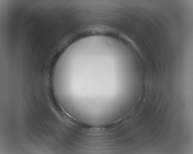 X0000083530451200702090724
