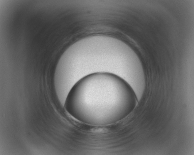 X0000083530452200702090724