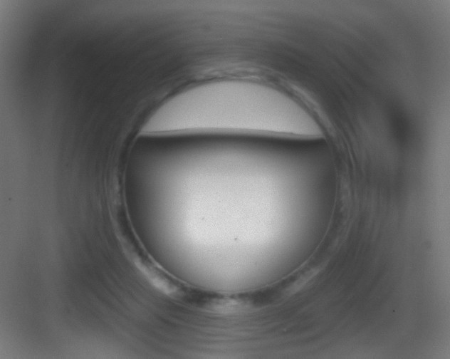 X0000083530453200702090724