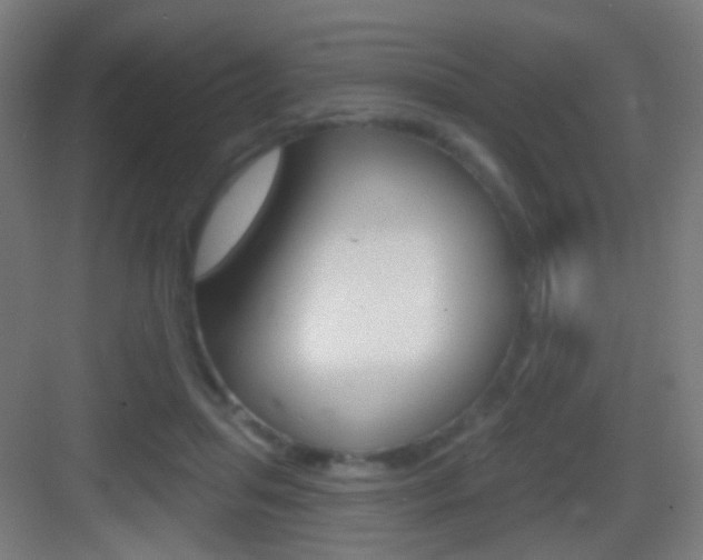 X0000083530455200702090724