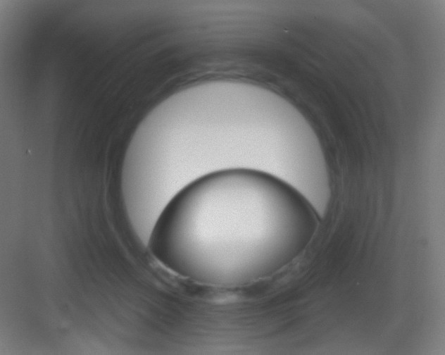 X0000083530456200702090724