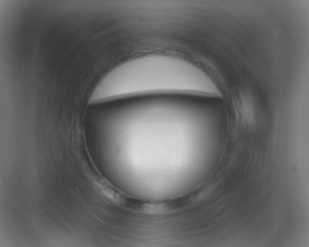 X0000083530457200702090724