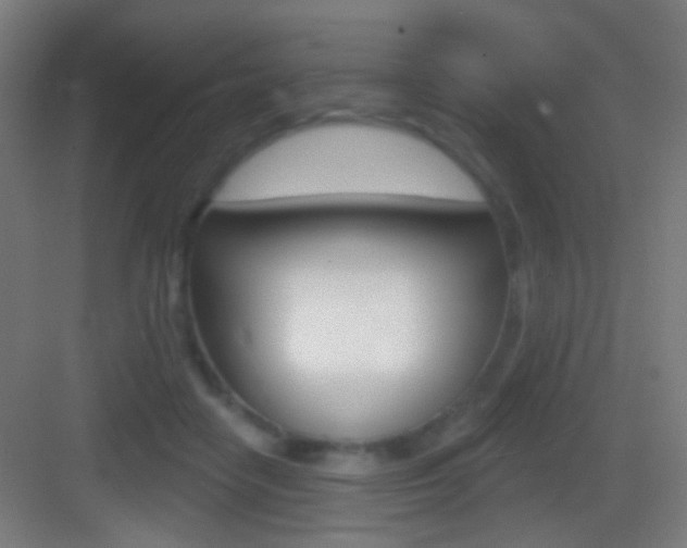 X0000083530458200702090724