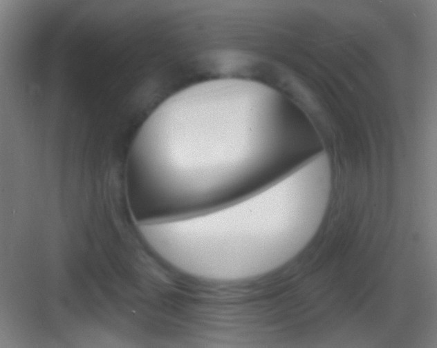 X0000083530461200702090724